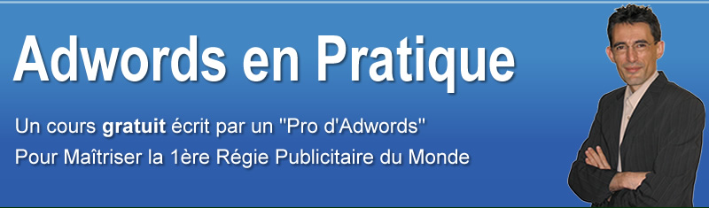 &laquo; Adwords en Pratique &raquo; Un Cours Gratuit &eacute;cris par un Pro d'Awords Pour Apprendre &agrave; Ma&icirc;triser la 1&egrave;re  r&eacute;gie publicitaire du monde